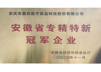 安徽省專精特新冠軍企業(yè)